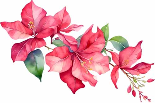 vipcorel.com_15966 (21).jpg
