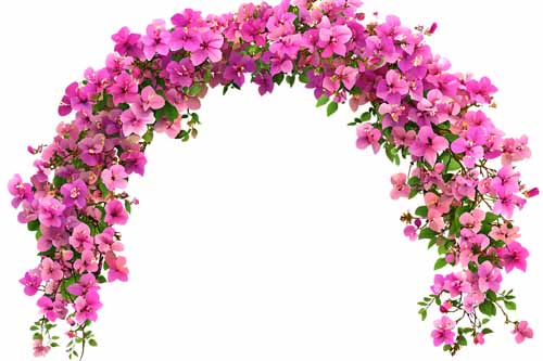 vipcorel.com_15966 (97).jpg
