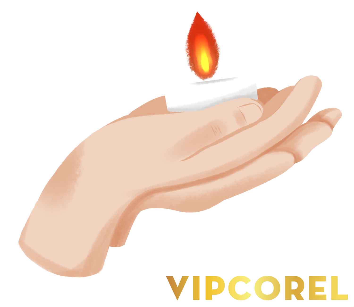 VIPcorel.com_ngon nen anh tach nen PNG (76).jpg