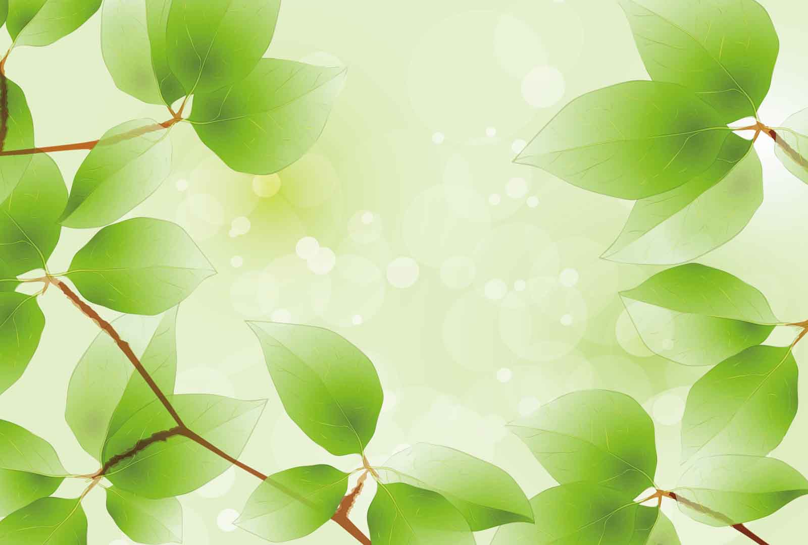 VIPcorel.com_tranh 3d la cay xanh tuyet dep.jpg