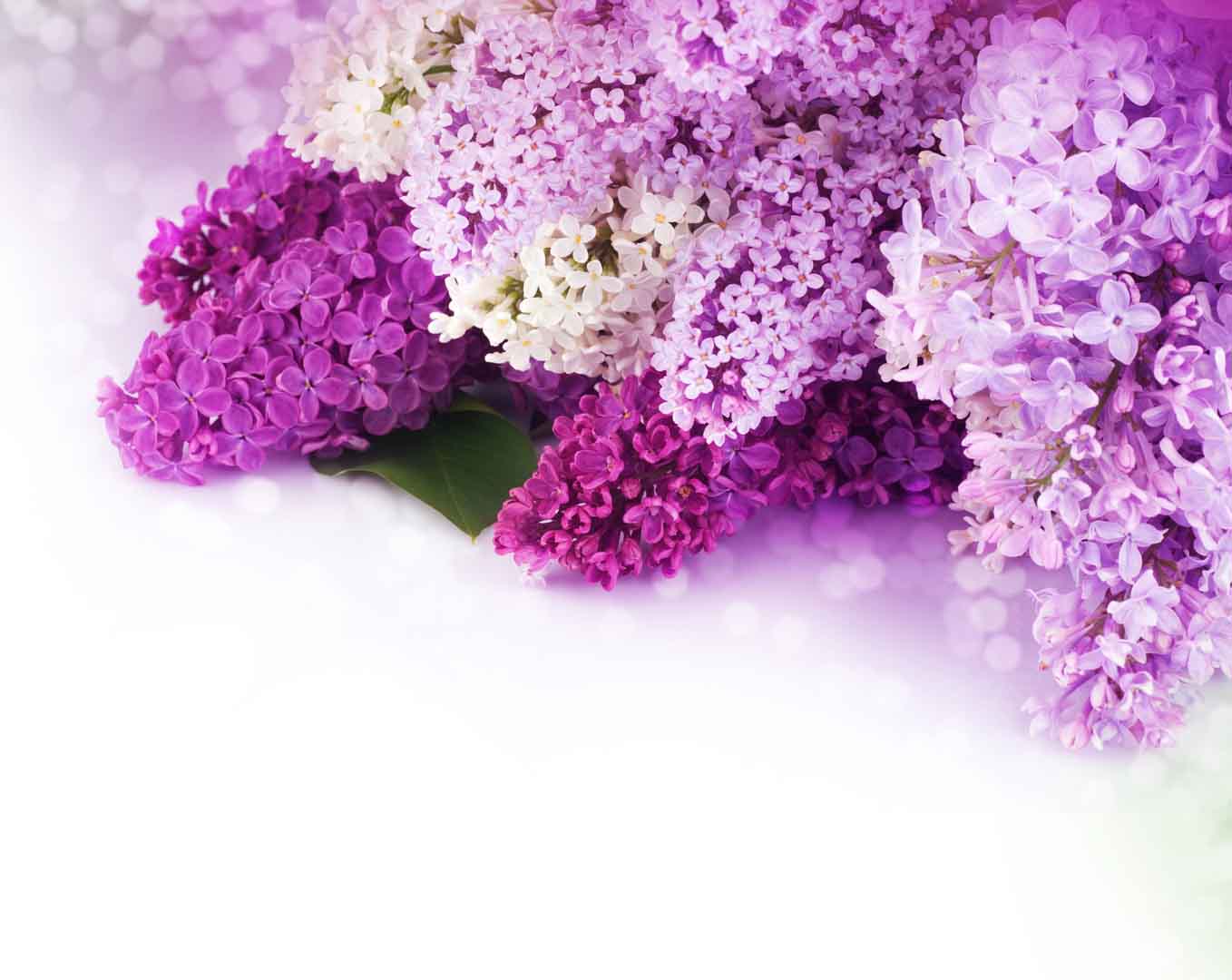 VIPcorel.com_WM-047 (220x175).jpg