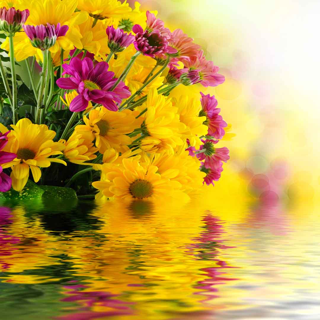 VIPcorel.com_WM-231 (280x280).jpg