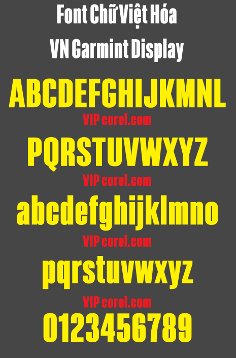 VN Garmint Display.png