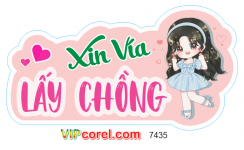Hashtag wedding xin vía lấy chồng file PDF