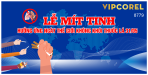 Lễ mít tinh hưởng ứng ngày thế giới không khói thuốc lá