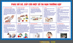 Biển Phác đồ sơ, cấp cứu một số tai nạn thường gặp