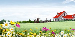 Tranh dán tường 3D phong cảnh hữu tình #115