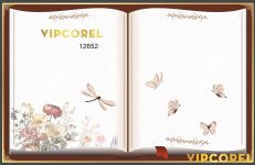 Vector trang sách - quyển sách trong trường học