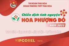 Market chiến dịch tình nguyện Hoa Phượng Đỏ vector