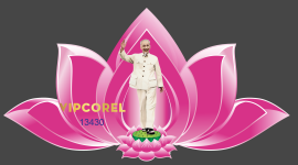 Vector bông hoa sen vẽ tay đẹp file corel