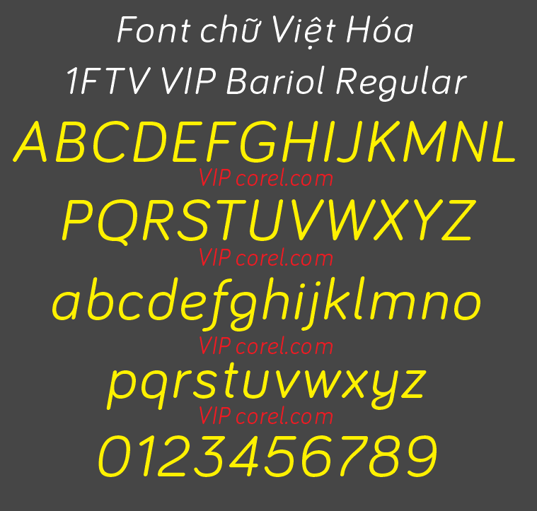 1FTV VIP Bariol Regular.png