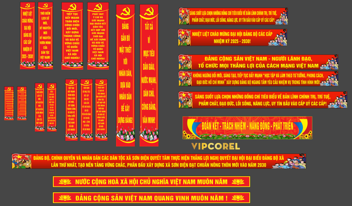16215 bang ron dai hoi dang bo xa son dien-min.png