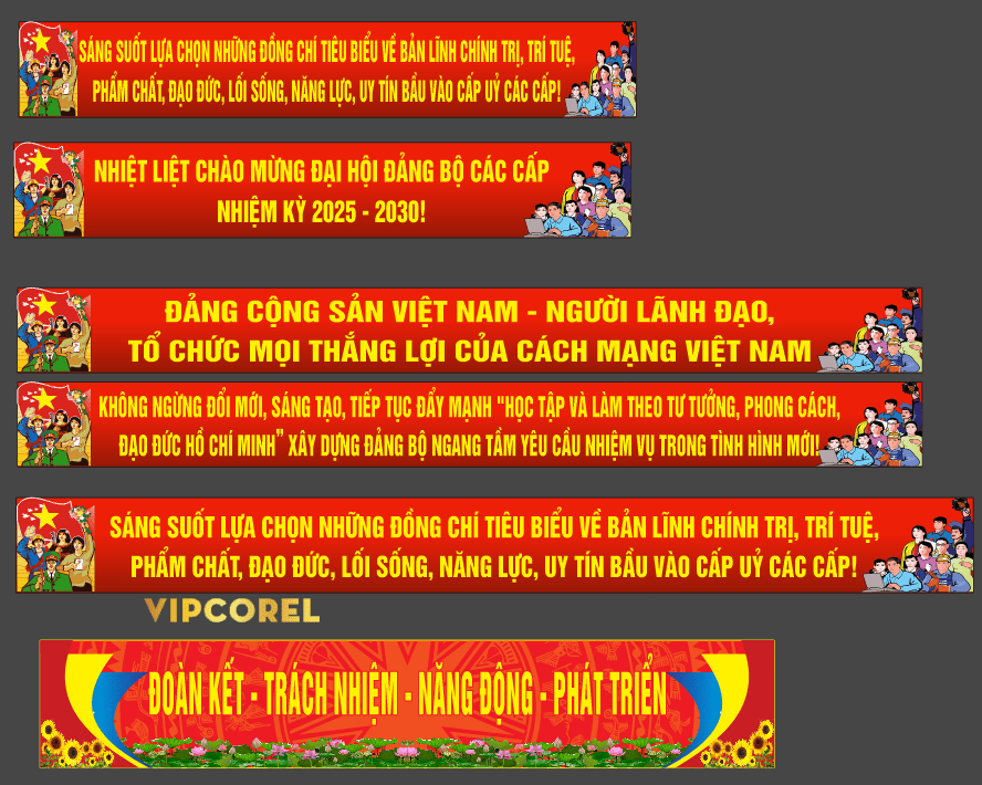 16215 bang ron dai hoi dang bo xa son dien3-min.png
