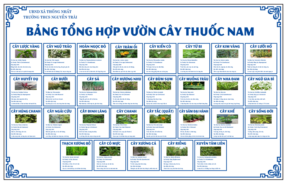 Bảng tổng hợp vườn cây thuốc nam file corel