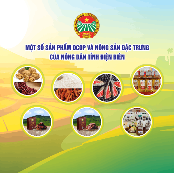Gian trưng bày sản phẩm OCOP - nông sản file cdr