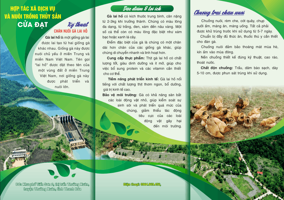 Brochure hướng dẫn chăm sóc và nuôi dưỡng gà