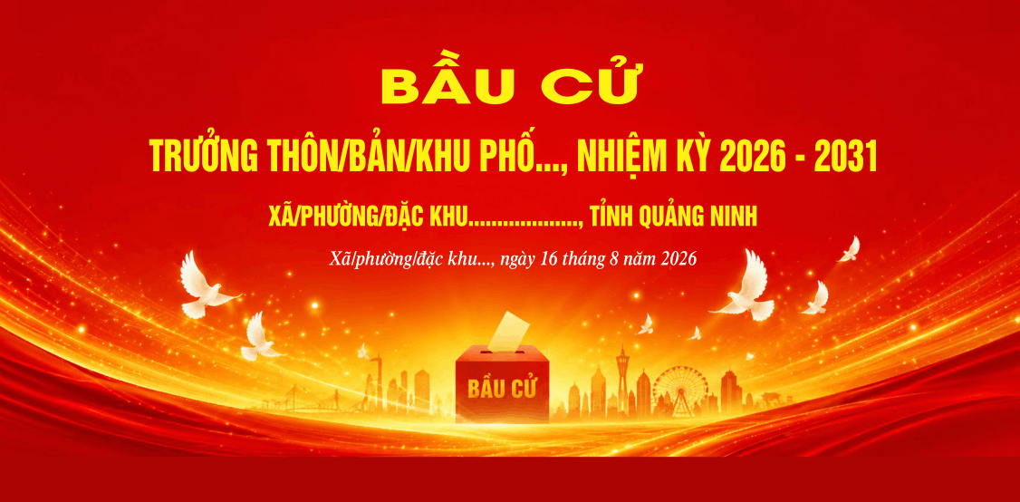 19290 bau cu truong khu pho.png