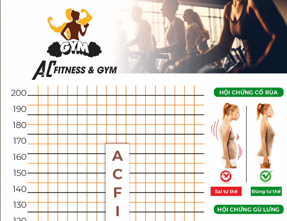 poster kiến thức về xương gym file corel x7